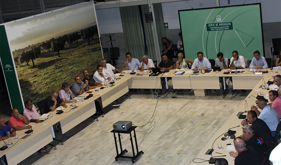 El consejero de Agricultura, Pesca y Desarrollo Rural, Rodrigo Sánchez Haro, ha anunciado al sector la reapertura el próximo día 1 de octubre del caladero de la chirla del Golfo de Cádiz.